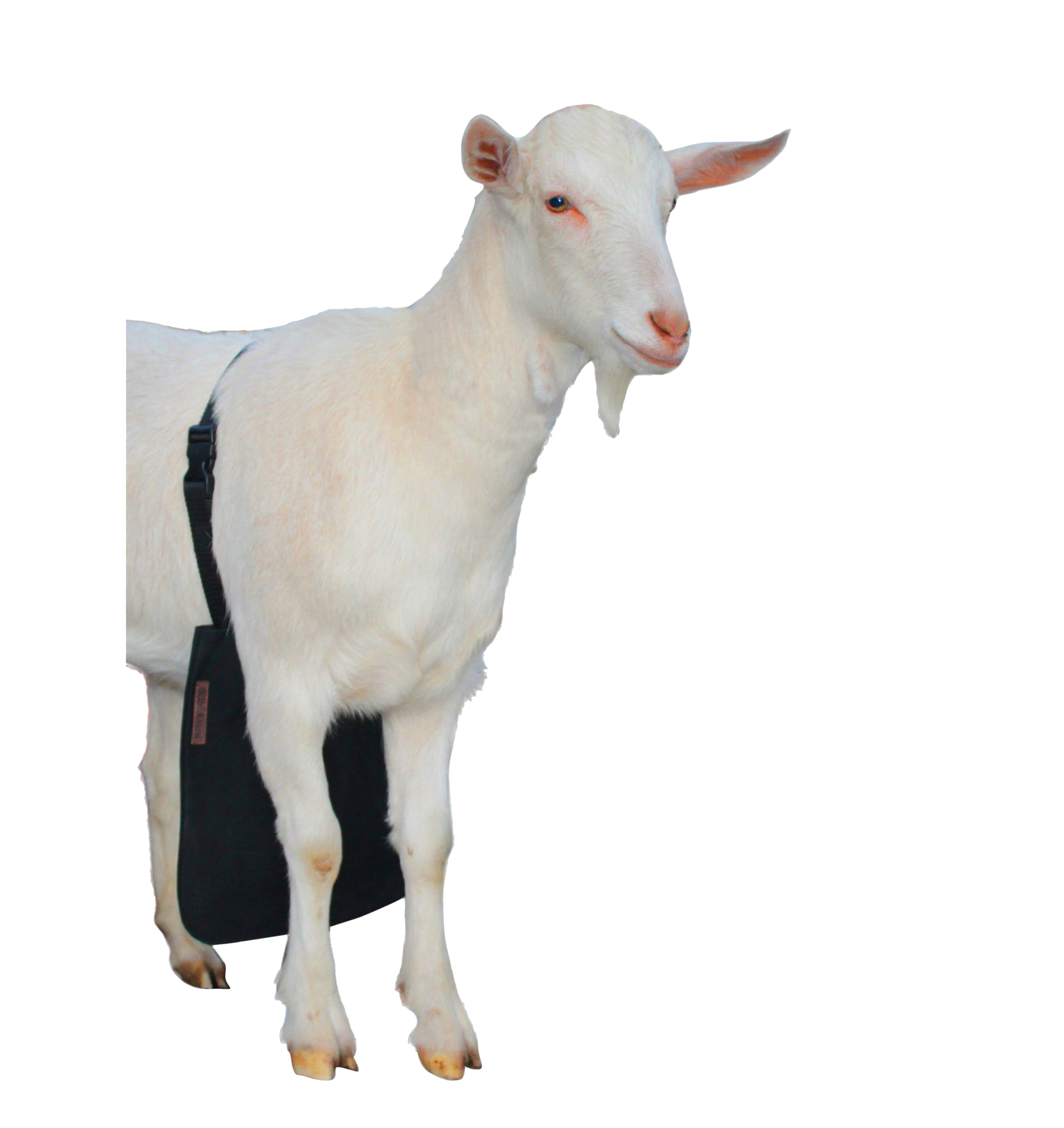 Excellent Anti-Tear Strength Apron w/ Harness for Goats Sheep Small Size Black 